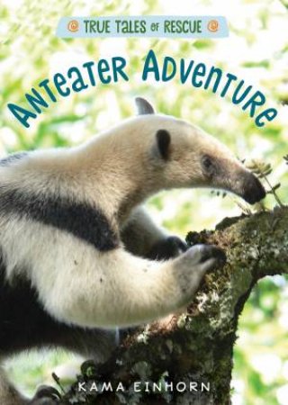 True Tales Of Rescue: Anteater Adventure by Kama Einhorn