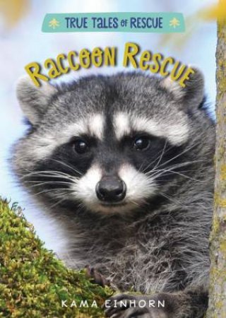 True Tales Of Rescue: Racoon Rescue by Kama Einhorn