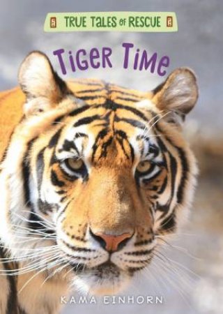 True Tales Of Rescue: Tiger Time by Kama Einhorn