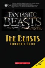 Fantastic Beasts And Where To Find Them The Beasts Cinematic Guide