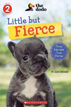 Little But Fierce by Joan Emerson