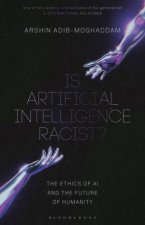 Is Artificial Intelligence Racist