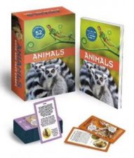 Animals Book And Fact Cards