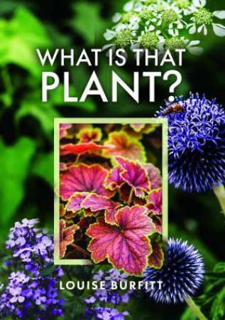 What is that Plant? by LOUISE BURFITT