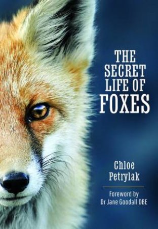 Secret Life of Foxes by CHLOE PETRYLAK