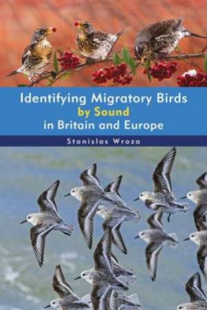 Identifying Migratory Birds by Sound in Britain and Europe by Stanislas Wroza