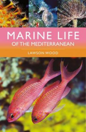 Marine Life of the Mediterranean by Lawson Wood