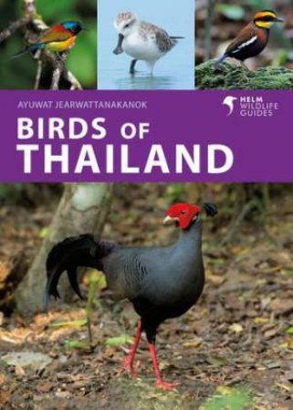 Birds of Thailand by Ayuwat Jearwattanakanok