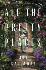 All the Pretty Places A Novel of the Gilded Age