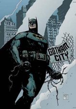 Batman No Mans Land Vol 1  New Edition