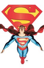 Superman Grounded Volume 2