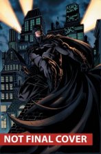 Batman The Dark Knight Vol 2