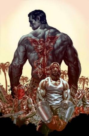 Suiciders Vol. 1 by Lee Bermejo