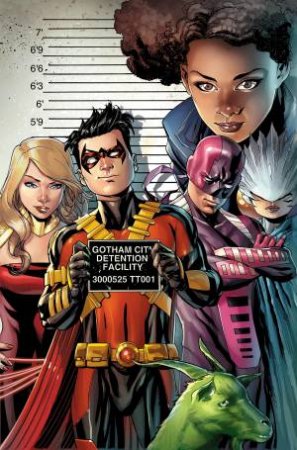 Teen Titans Vol. 4 by Jimmy;Pfeifer, Will; Palmiotti