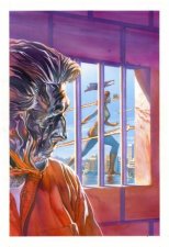 Astro City Vol 14  Reflections