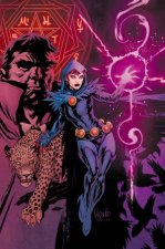 Raven Daughter Of Darkness Vol 1