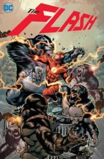 The Flash Vol 10 Force Quest