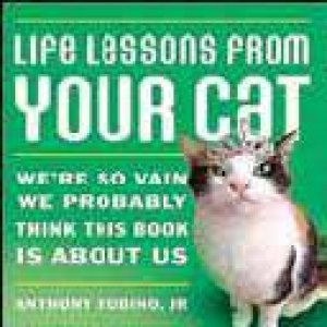 Life Lessons From Your Cat by Anthony Rubino