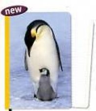 Soft Covered Journal  Penguin