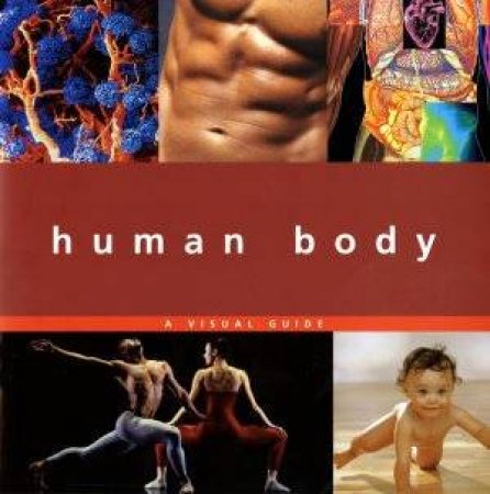 Macmillan Visual Guide: Human Body by Macmillan