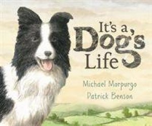 It's A Dog's Life by Michael Morpurgo