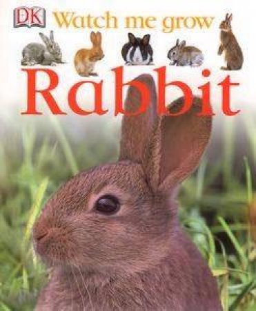 Rabbit: Watch Me Grow by Kindersley Dorling