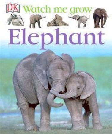 Watch Me Grow: Elephant by Kindersley Dorling