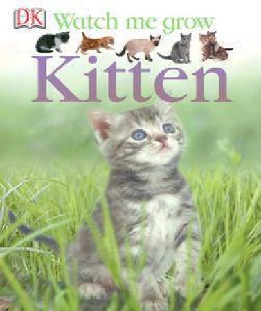 Watch Me Grow: Kitten by Kindersley Dorling