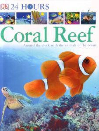 24 Hours At The Coral Reef by Kindersley Dorling