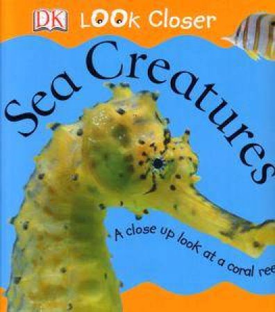 DK Look Closer: Sea Creatures by Kindersley Dorling