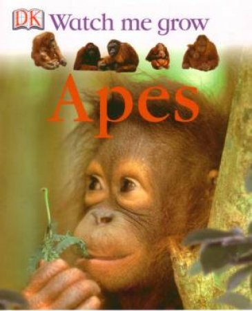 DK Watch Me Grow: Apes by Dorling Kindersley