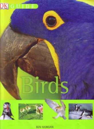 DK Guide: Birds by Ben Morgan