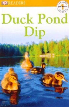 Duck Pond Dip by Various