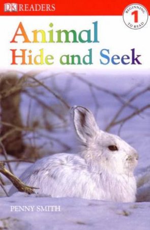 Animal Hide & Seek by Penny Smith