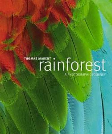 Rainforest: A Photographic Journey by Thomas Marent