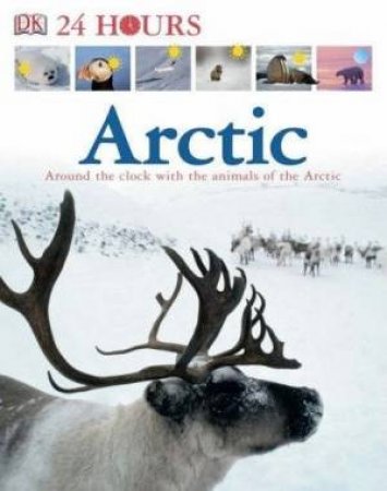 24 Hours In The Arctic: Around The Clock With The Animals Of the Arctic by Dorling Kindersley