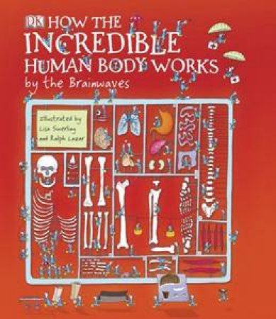 How the Incredible Human Body Works By The Brainwaves by Richard Walker