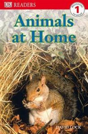 Animals At Home by David Lock