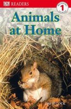 Animals At Home