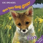 See How They Grow Fox