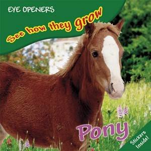 Pony: See How They Grow by Dorling Kindersley 