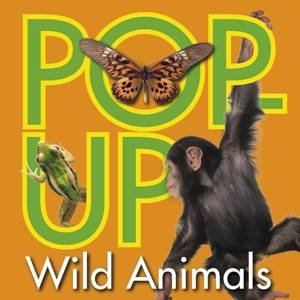 Wild Animals: Shiny Pop Up by Dorling Kindersley