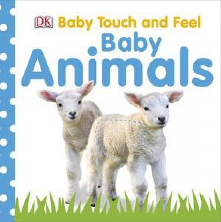 Baby Touch and Feel: Baby Animals by Various