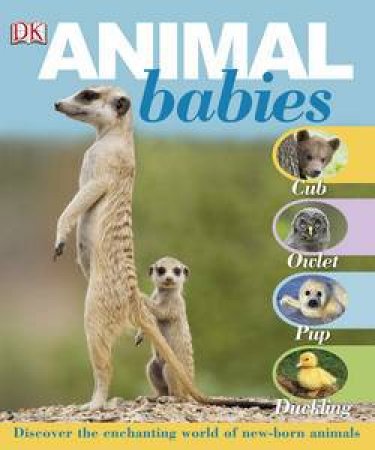 Animal Babies by Various