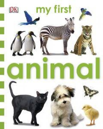 Animal: My First Chunky Board Book by Various