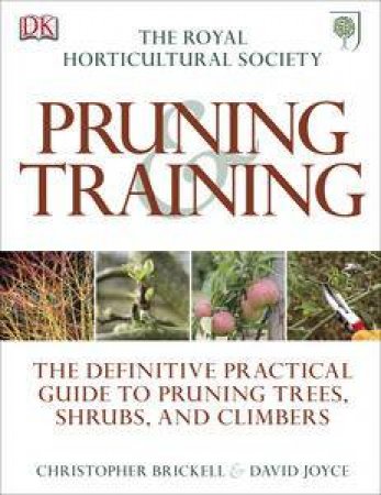 RHS Pruning & Training by Various