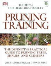 RHS Pruning  Training