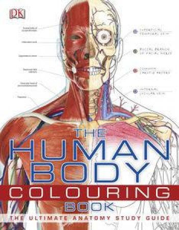 The Human Body Colouring Book by Various