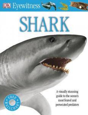 Shark: Eyewitness Guide by Kindersley Dorling