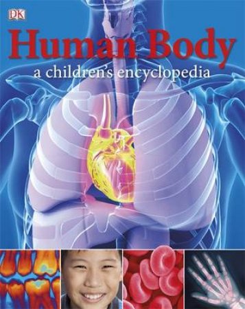 Human Body A Children's Encyclopedia by Various 